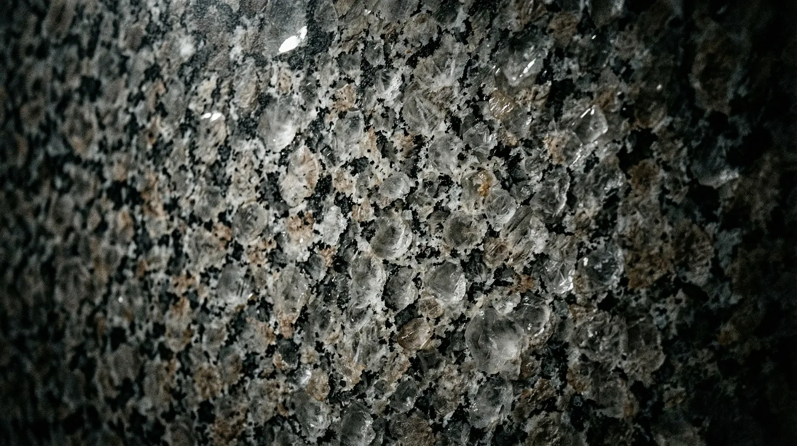 Deeply textured stone surface representing the weight and gravity of data.